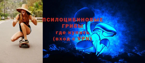 стаф Дмитровск