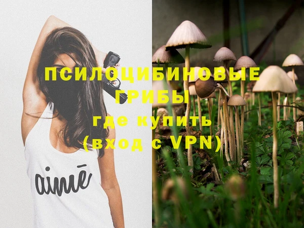 круглые Гусев
