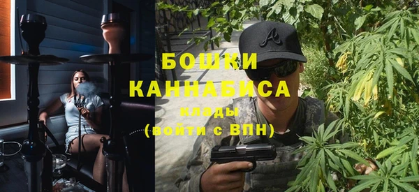 стаф Дмитровск
