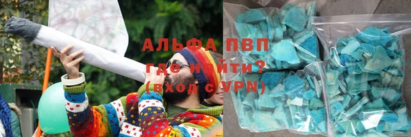 стаф Дмитровск